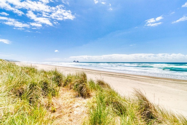 Captain Easy's Retreat Main image